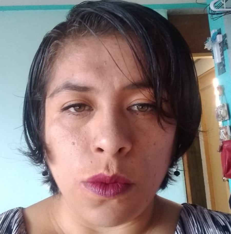 perfil
